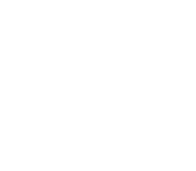 nindhaara.com